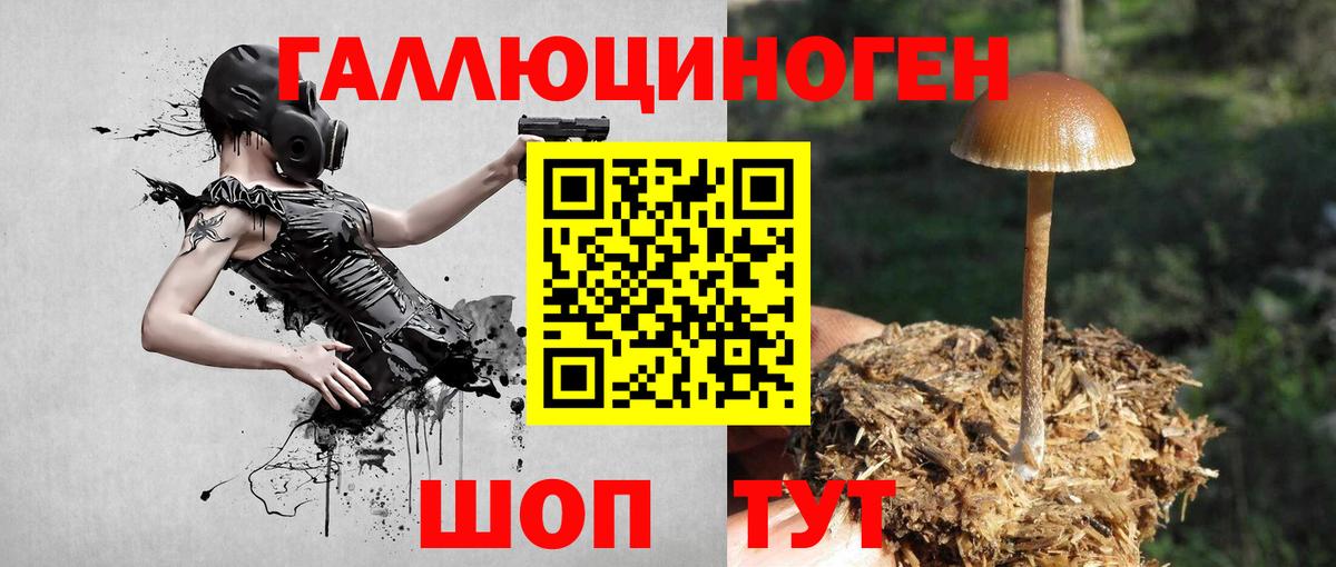 Волжский  дарнет шоп  Вход с VPN  Галлюциногенные грибы мухоморы 